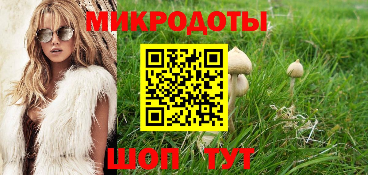 Псилоцибиновые грибы GOLDEN TEACHER Коломна