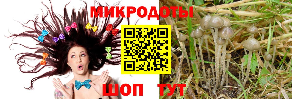 Коломна  Псилоцибиновые грибы ЛСД  купить наркотик  Вход с VPN  Псилоцибиновые грибы MAGIC MUSHROOMS 